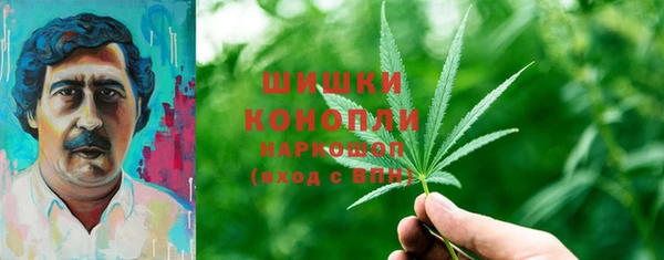 ПСИЛОЦИБИНОВЫЕ ГРИБЫ Покров