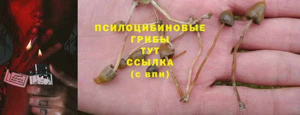 ПСИЛОЦИБИНОВЫЕ ГРИБЫ Покров