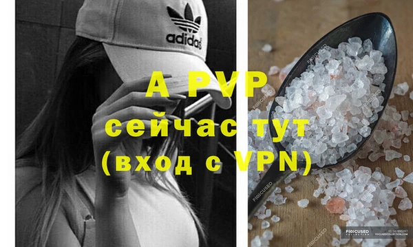 ПСИЛОЦИБИНОВЫЕ ГРИБЫ Покров