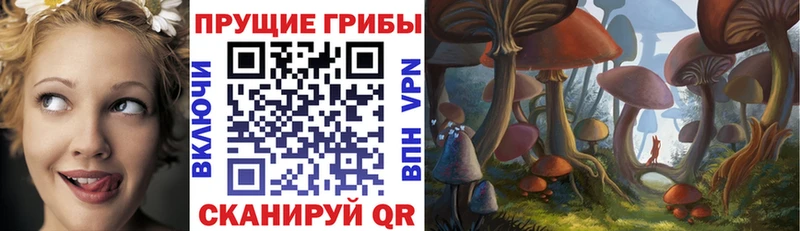 Псилоцибиновые грибы MAGIC MUSHROOMS  наркотики  Струнино 